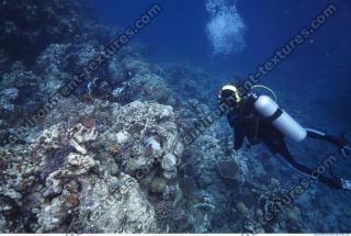 Photo Reference of Coral Sudan Undersea 0045